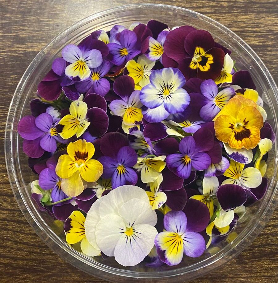 زهور قابلة للأكل فريش واي – ورد جاهز للاكل والتزيين – باكت ( 90 – 100 حبه )