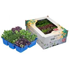 ساكورا ميكس – صندوق